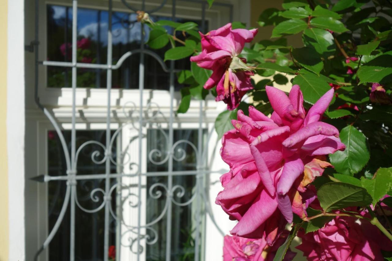 Villa Sonnenstrahl Mariánské Lázně المظهر الخارجي الصورة