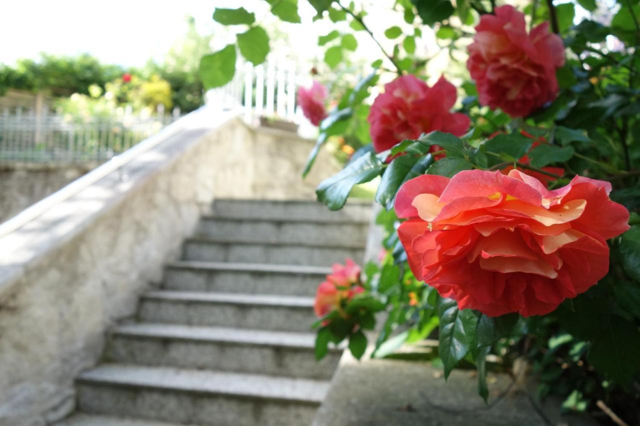 Villa Sonnenstrahl Mariánské Lázně المظهر الخارجي الصورة