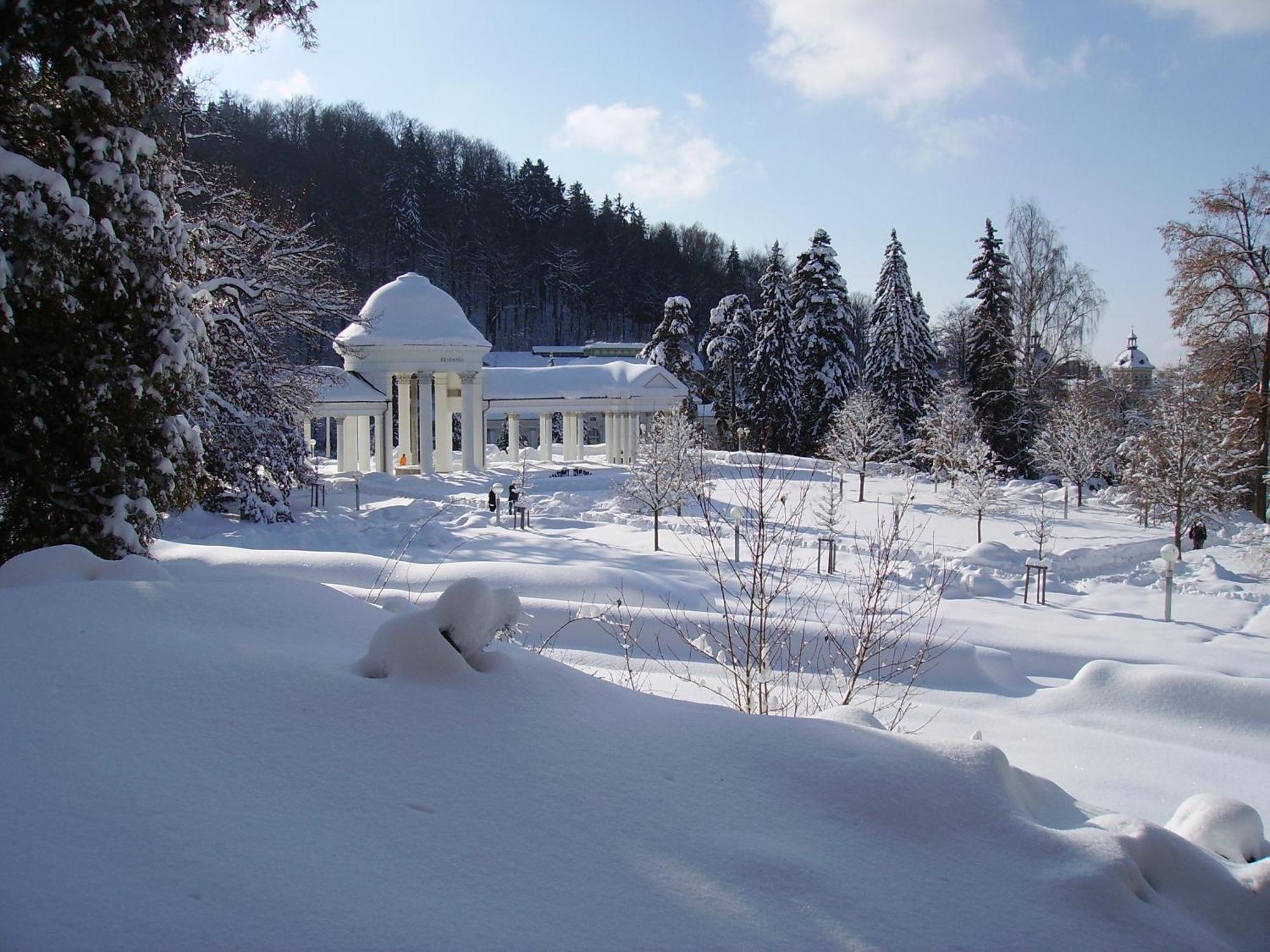 Villa Sonnenstrahl Mariánské Lázně المظهر الخارجي الصورة